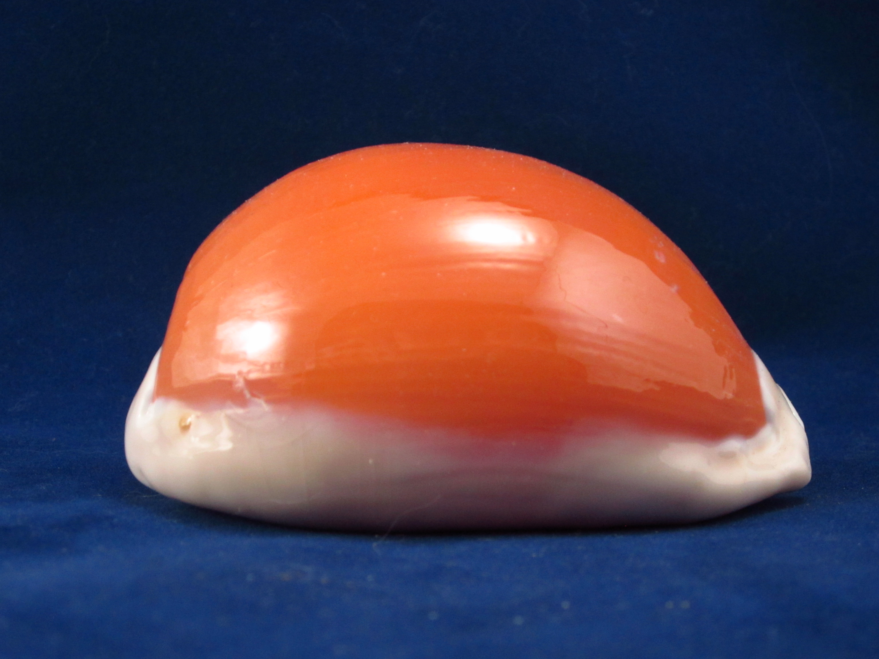 Артикул: CypLAu-10