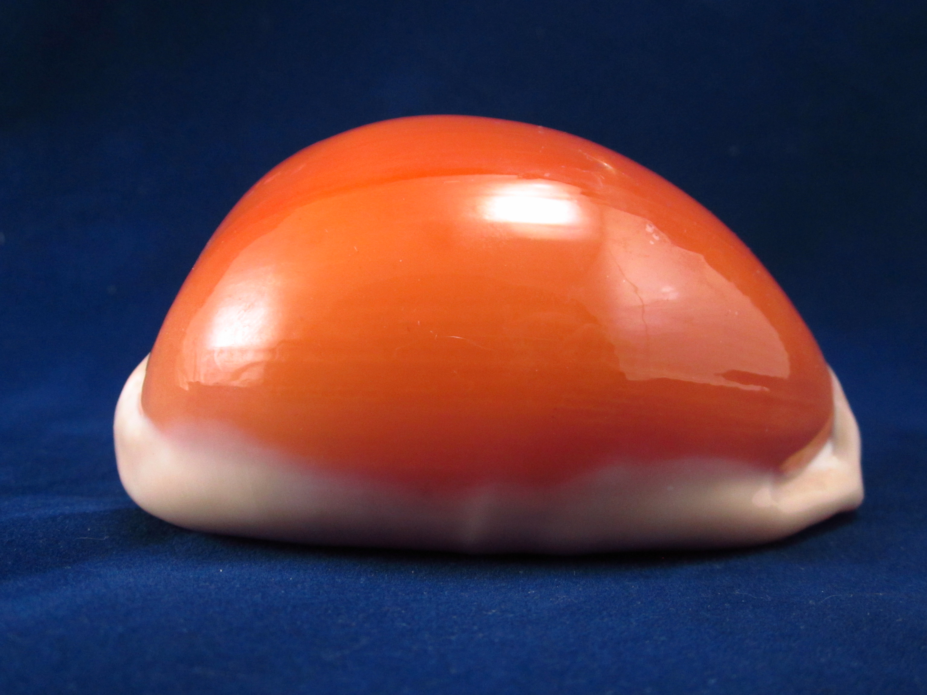 Артикул: CypLAu-11