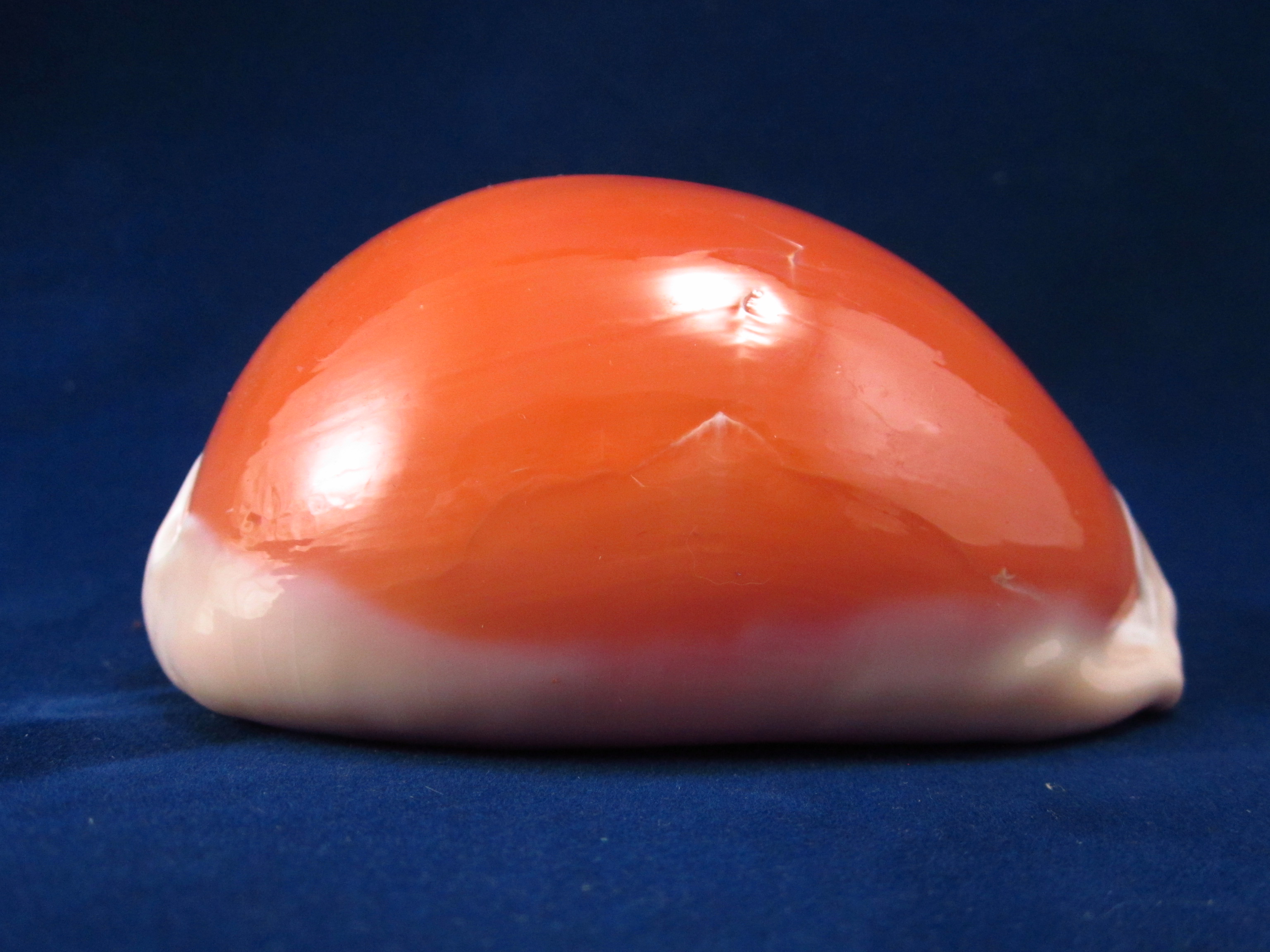 Артикул: CypLAu-14