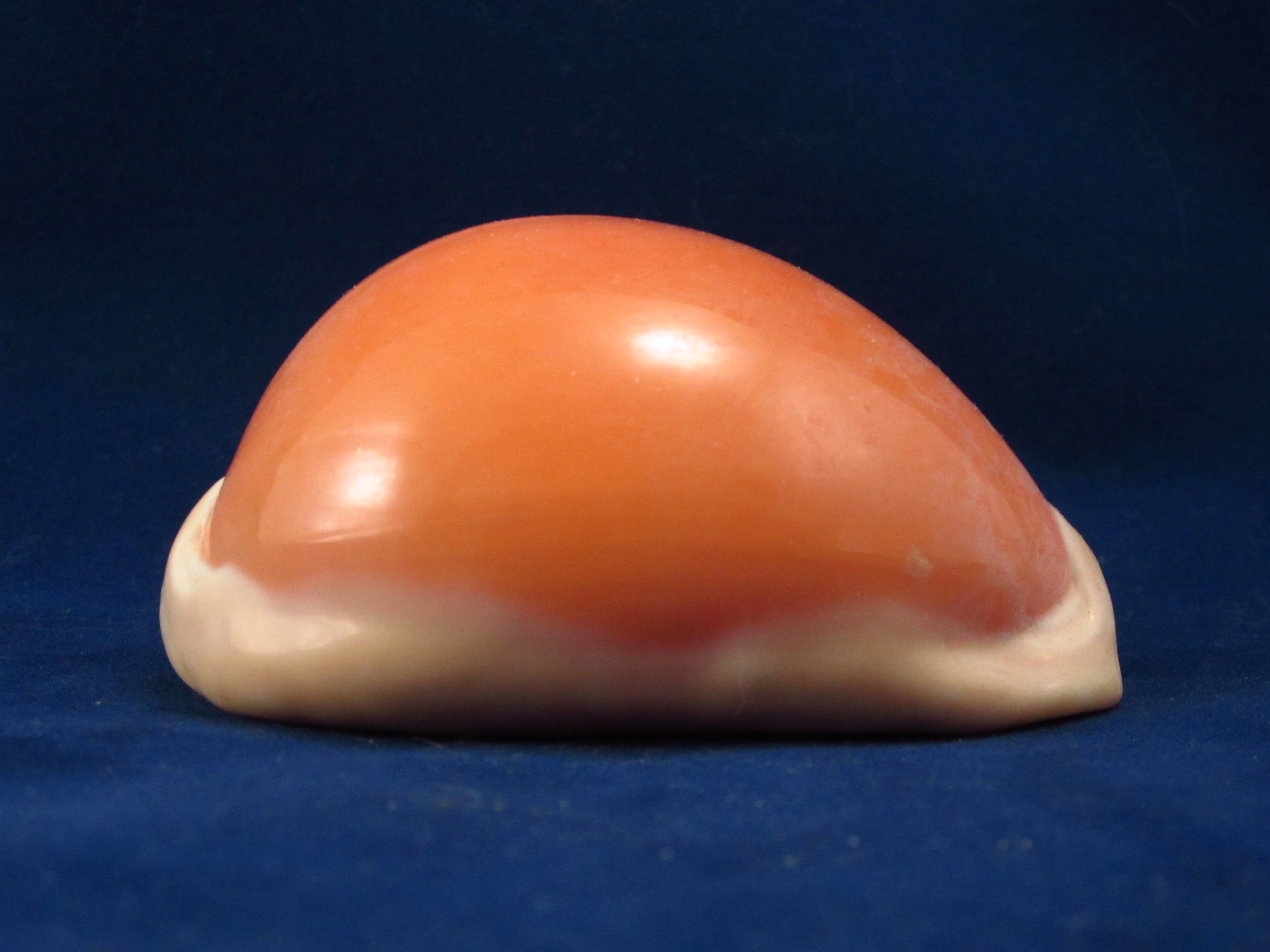 Артикул: CypLAu-15