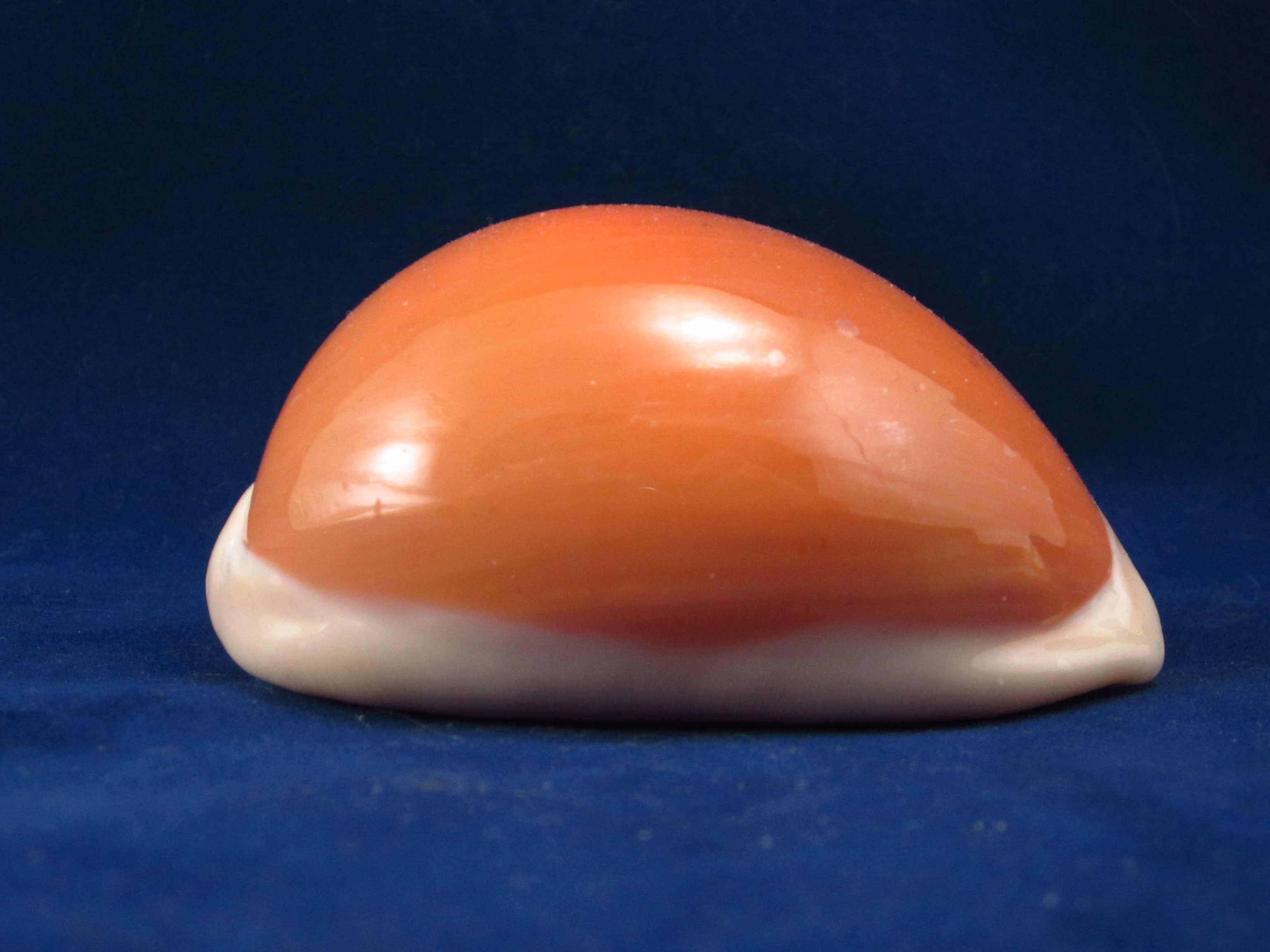 Артикул: CypLAu-18