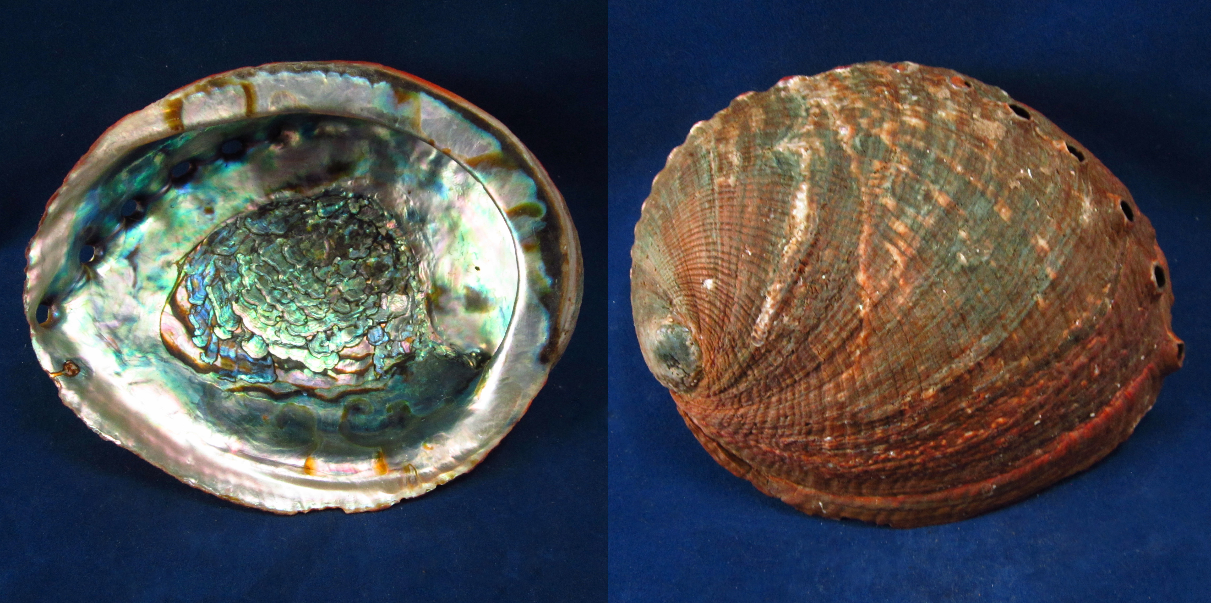 Артикул: HalFul-32